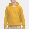 Youth Heavy Blend™ Hooded Sweatshirt Thumbnail